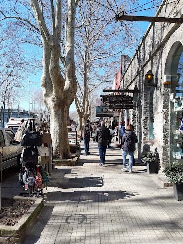 Gral. Flores, 70000 Col. del Sacramento, Departamento de Colonia