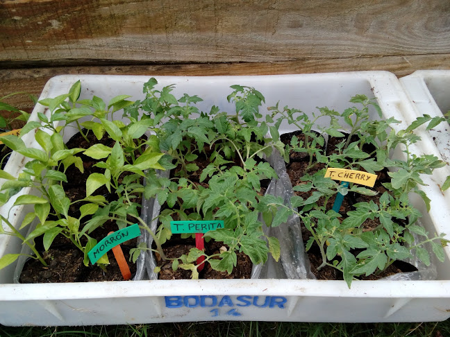 69P4+PJV, C. 34, 15300 Bello Horizonte, Departamento de Canelones