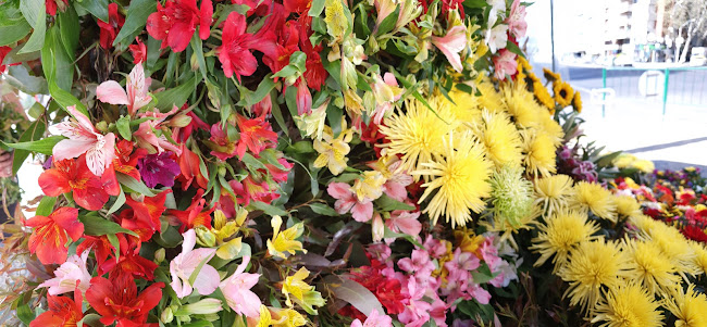 Floreria El LICO - Montevideo