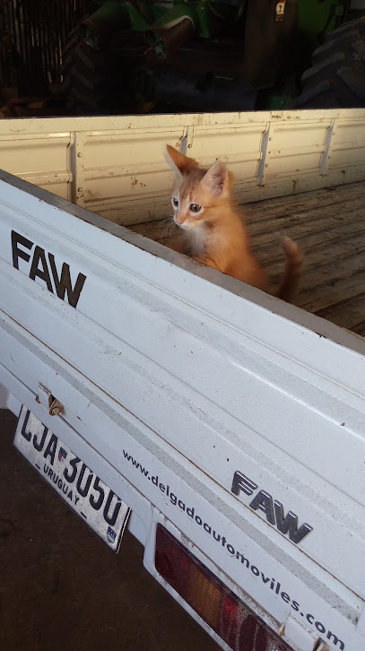 Establecimiendo ""EL TALA""