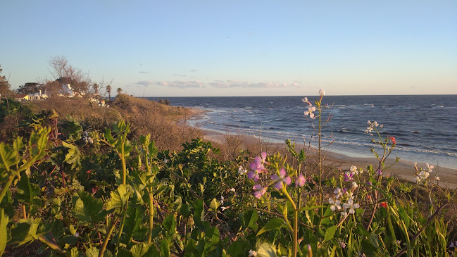 El Hola - Costa Azul