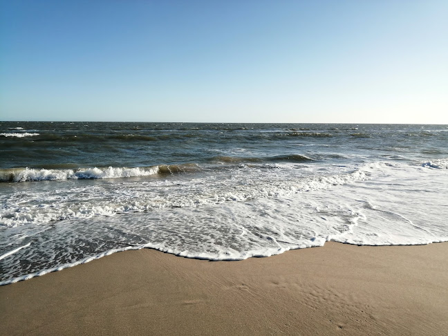 6H6Q+642, 15400 Jaureguiberry, Departamento de Canelones