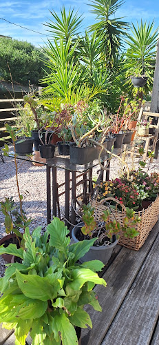 Las Maravillas 221, 27204 Punta del Diablo, Departamento de Rocha