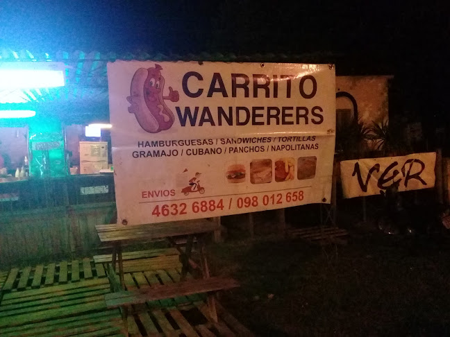 CARRITO DEL WANDERERS