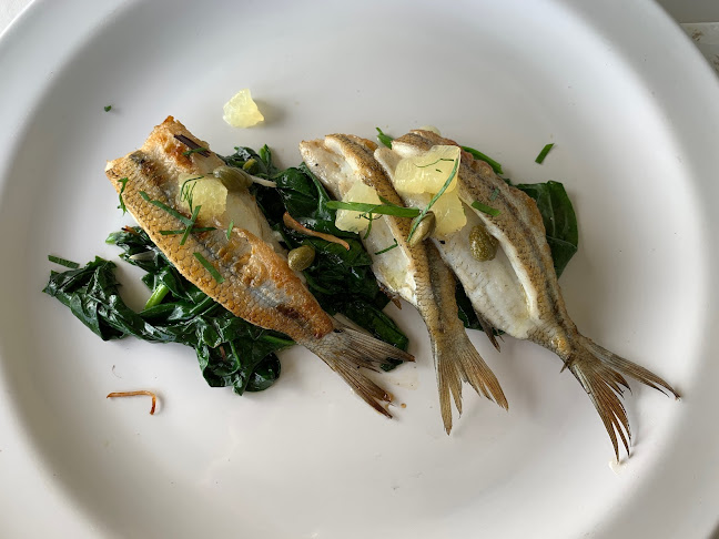 EL CEIBO BLANCO - Maldonado