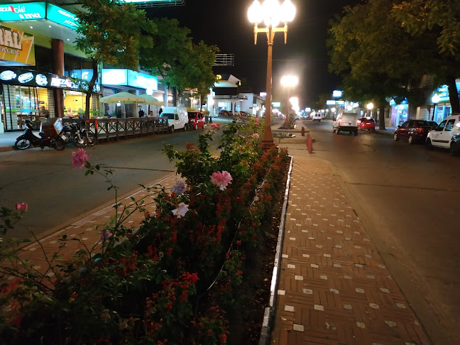 Pizzería Olé! - Paysandú