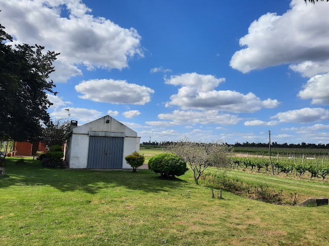 Restaurante "Miche" - Gastronomía y hostelería