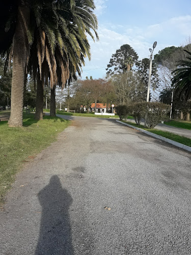 Opinii despre El Carrito în San José de Mayo - Gastronomía y hostelería