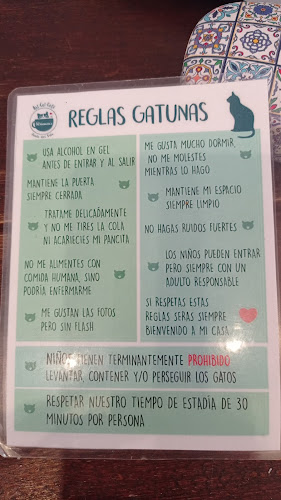ADRIANUZCA'S CAT CAFÉ ☕🐈 - Punta del Este