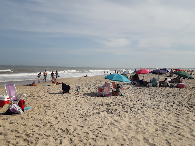 La Barrita De Simón - Rocha