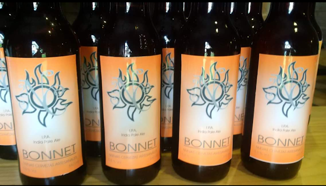 Opinii despre PIZZA PINO în Maldonado - Gastronomía y hostelería