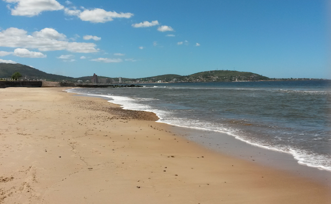 Comentarii opinii despre Carrito 48