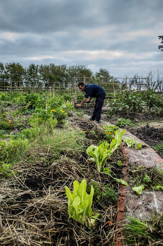 Huerta agroecologica Espiral del Sol - Gastronomía y hostelería