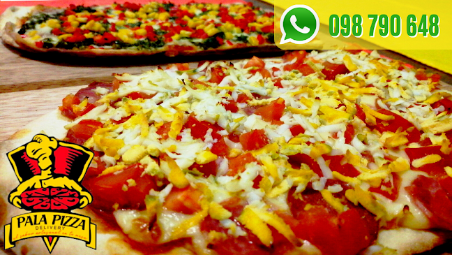 Pala Pizza Delivery Melo