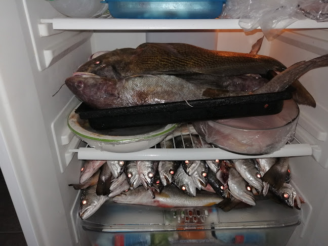 EL MAESTRO-Pizzeria/Chiveteria