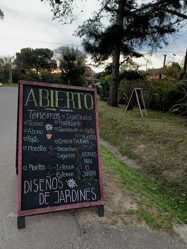 Comentarii opinii despre Marantao