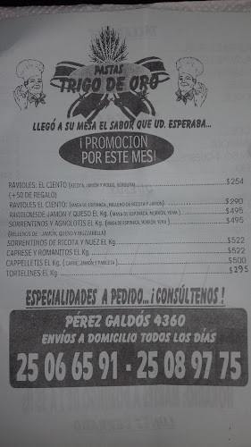 Fábrica de Pastas Trigo de Oro