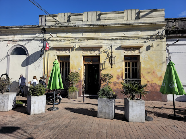 Comentarii opinii despre Vidal