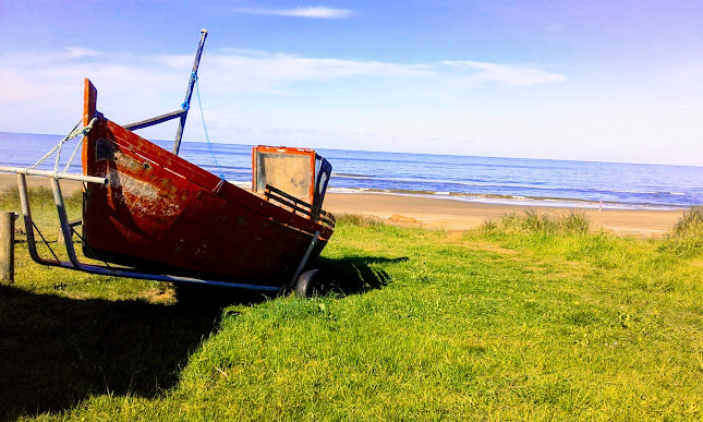 Comentarii opinii despre Barba Blanca