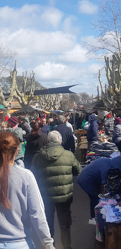 Comentarii opinii despre Bar Lo de Porro