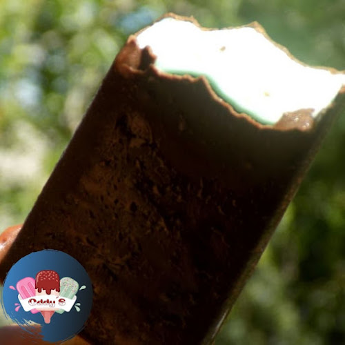 Comentarii opinii despre Paletas Oddy