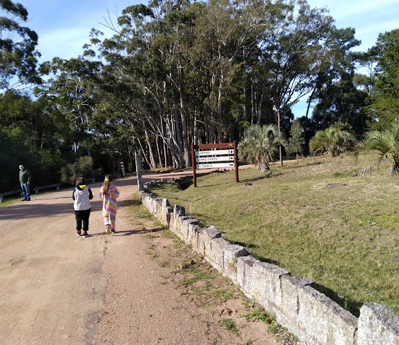 3C6W+5HF, Dr Solón Verísimo, 40000 Rivera, Departamento de Rivera