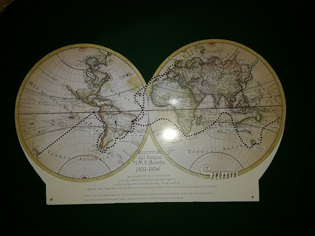 Peatonal Sarandí esquina Florida Peatonal Sarandí esquina, Florida, 20000 Maldonado