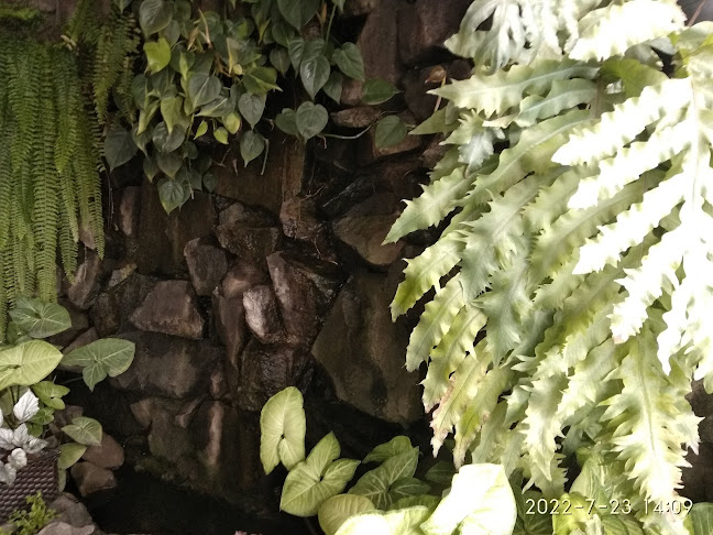 Comentarii opinii despre El Mesón del Plaza