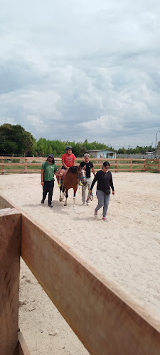 Opinii despre El Gaucho Negro în Ciudad del Plata - Gastronomía y hostelería