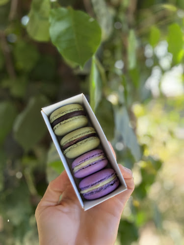 Calle 10 esquina 15, 27400 La Paloma, Departamento de Rocha