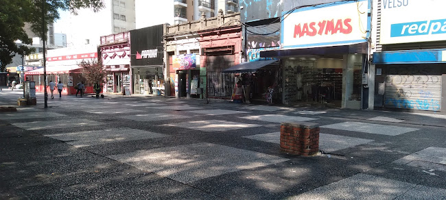 Il mondo della pizza