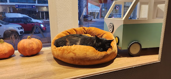 Av. Juan Gorlero 535, 20100 Punta del Este, Departamento de Maldonado