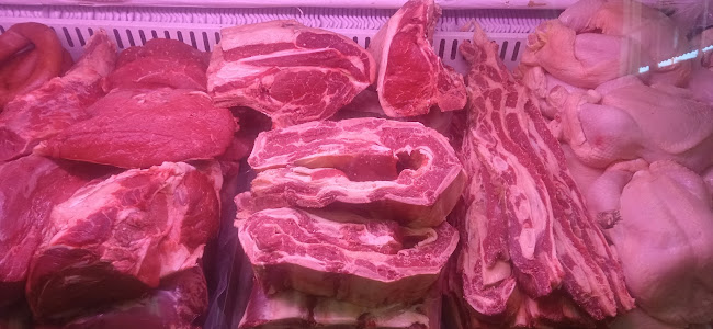 Los Silvitas - Pando