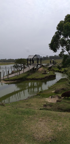 Parrilleros STA teresa - Gastronomía y hostelería