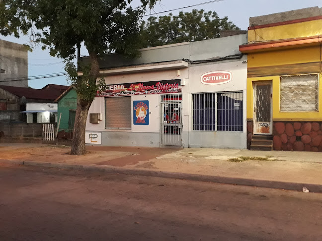Carniceria La Nueva Victoria