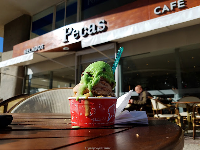 Pecas Punta del Este