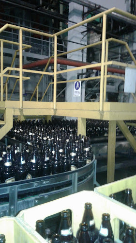 Opinii despre Cerveza Pilsen by F.N.C în Montevideo - Gastronomía y hostelería