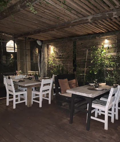 Comentarii opinii despre Oculto