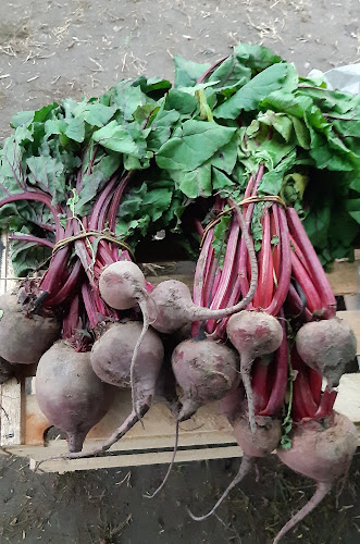 C. Emir Rodríguez Monegal 2028, 12600 Montevideo, Departamento de Montevideo