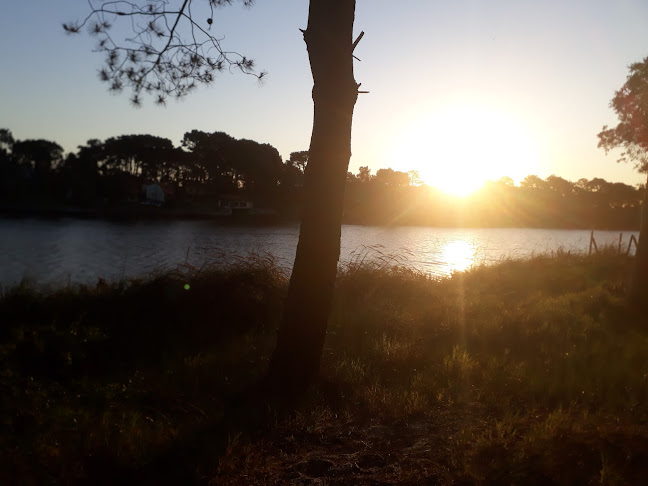 Opinii despre El Arroyo în Canelones - Gastronomía y hostelería