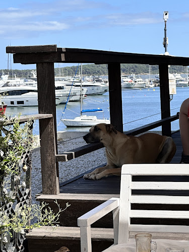 Rebelion Coffee Roasters