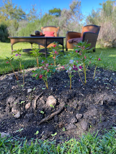La Pulpería - Gastronomía y hostelería