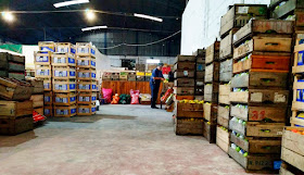 Frutícola Canelones