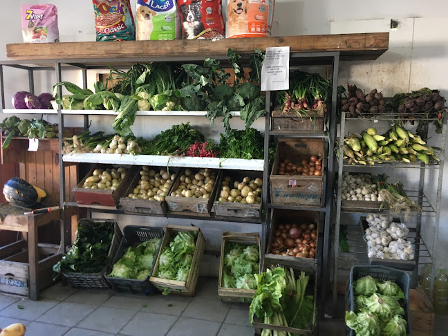 Canelones &, 91000 Pando, Departamento de Canelones