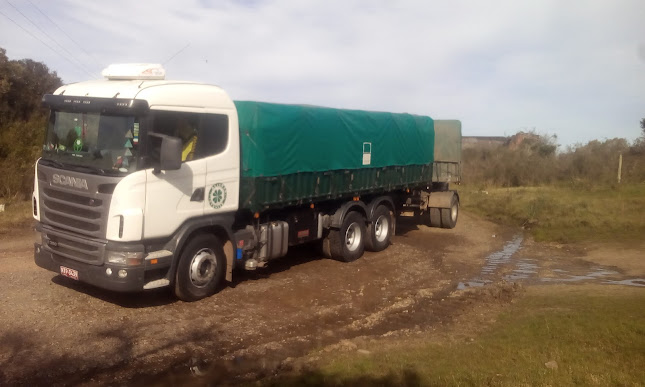 Opinii despre Nueva Esperanza în José Pedro Varela - Gastronomía y hostelería