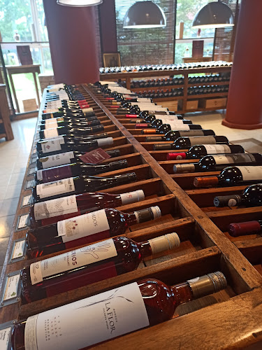 Lido, 20100 Punta del Este, Departamento de Maldonado