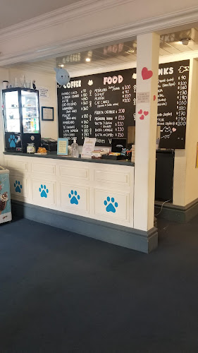 Comentarii opinii despre ADRIANUZCA'S CAT CAFÉ ☕🐈