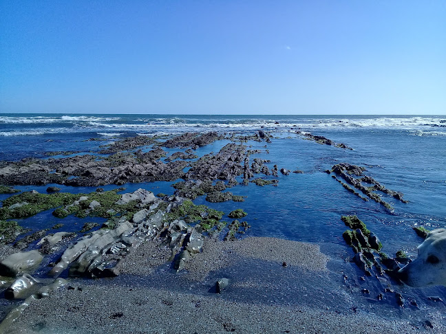 Los Botes - La Paloma