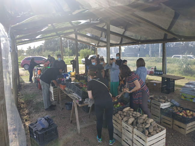 12600 Montevideo, Departamento de Montevideo