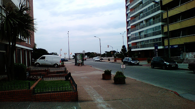 Comentarii opinii despre Nueva Malvín